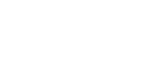 Dropout
